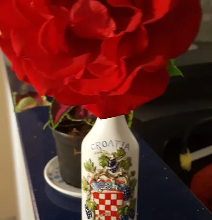 Duje